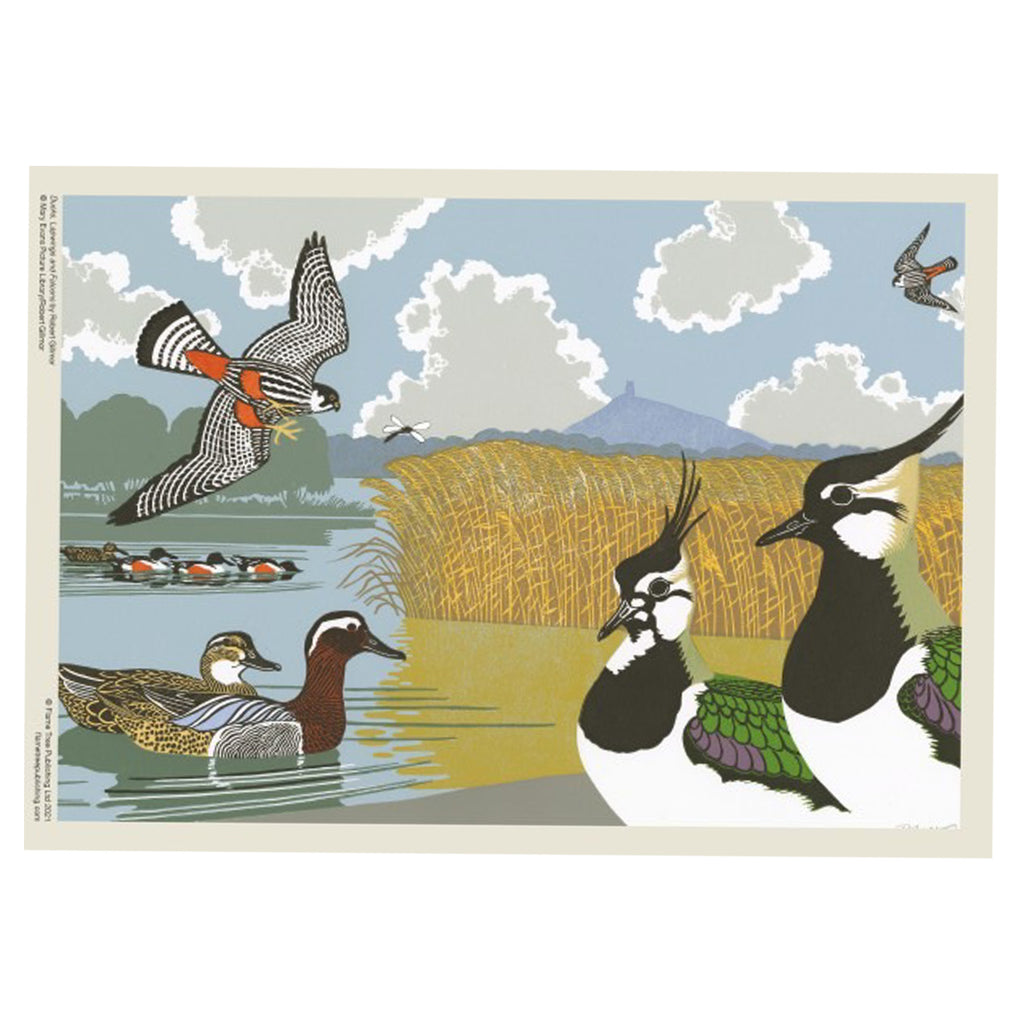 Puzzle Robert Gillmor Ducks Falcons And Lapwings 1000 Piece Jigsaw Puzzle