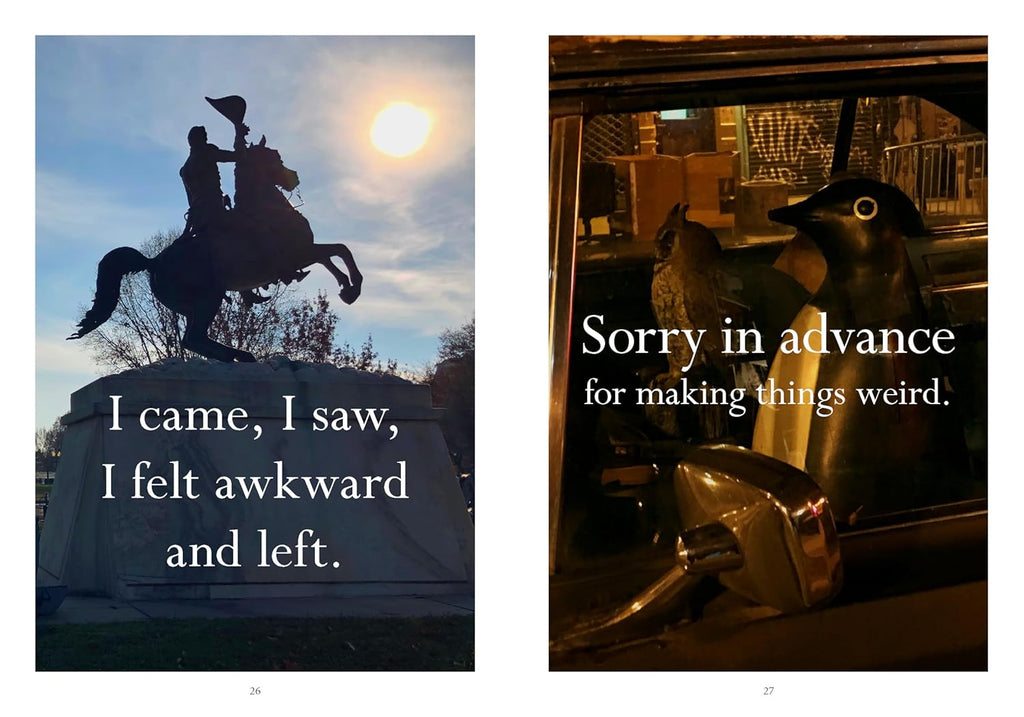 Book Hardback Sorry In Advance For Making Things Weird A Disappointing Affirmations Collection