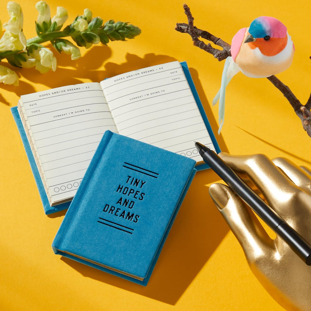 Diary Tiny Hopes And Dreams Tiny Diary