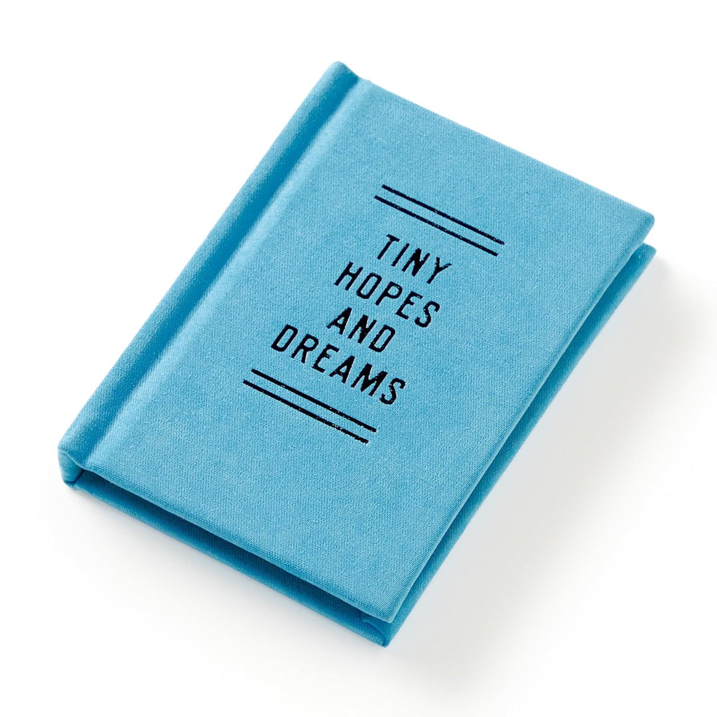 Diary Tiny Hopes And Dreams Tiny Diary