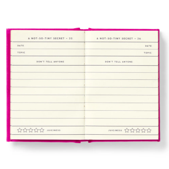 Diary Or Journal Tiny Diary For Not So Tiny Secrets