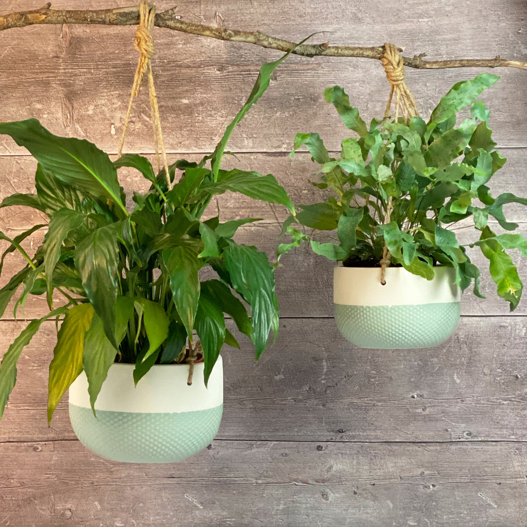 Two Tone Hanging Planters