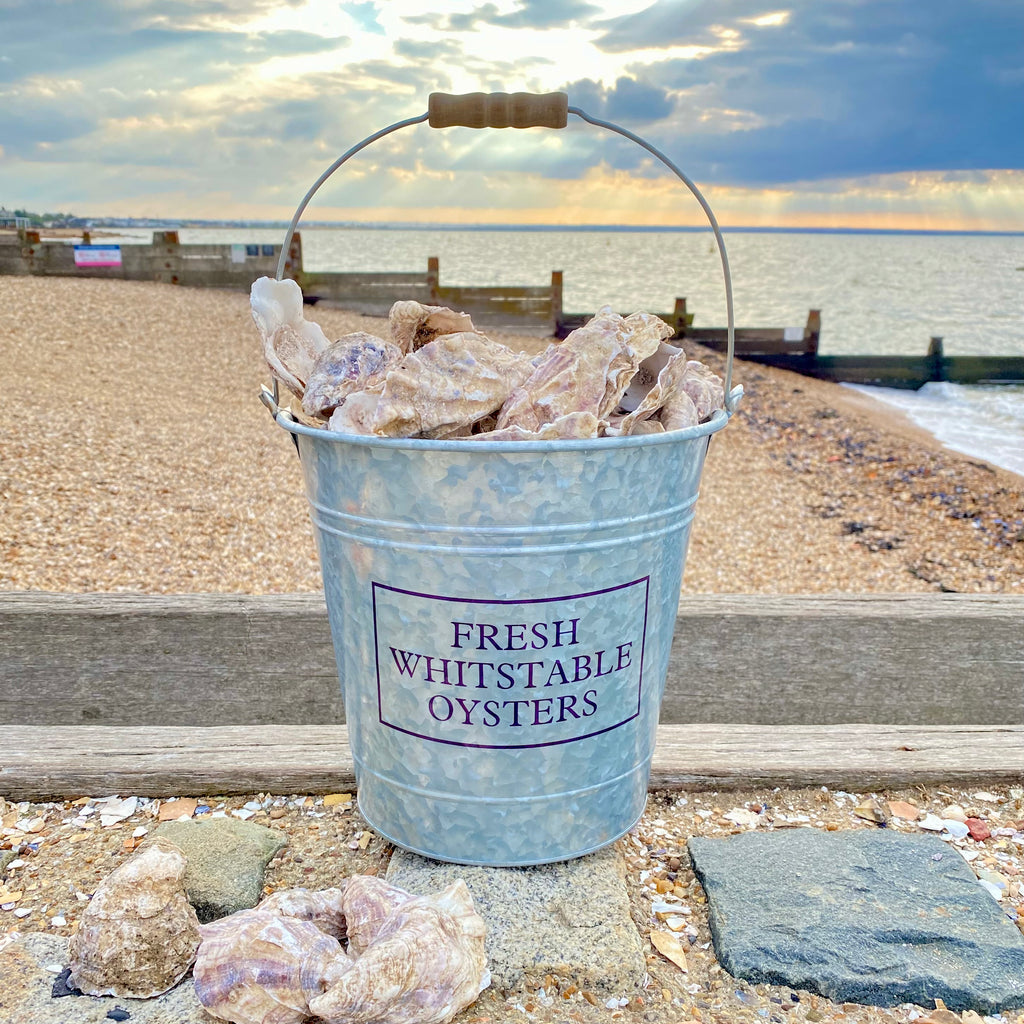 Fresh Whitstable Oysters Bucket