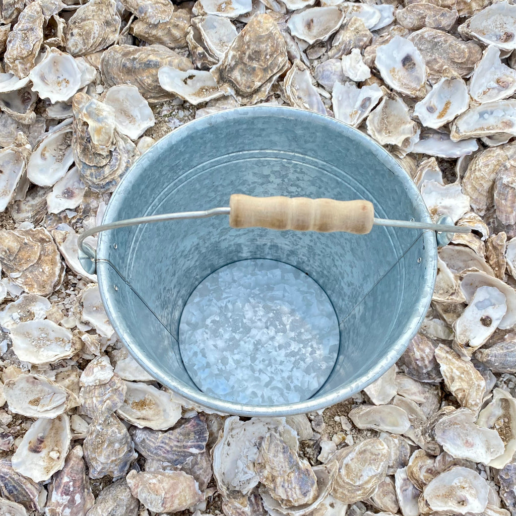 Fresh Whitstable Oysters Bucket